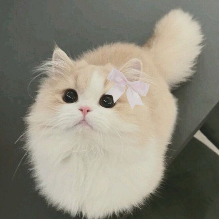  عکس پروفایل برای تیک تاک