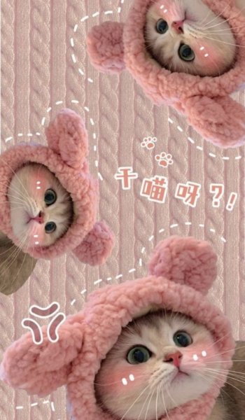  عکس پروفایل برای تیک تاک