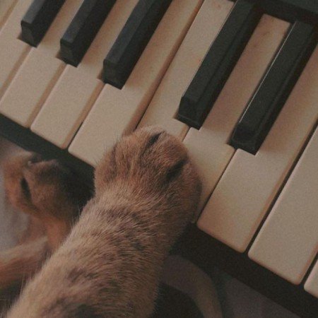  عکس پروفایل برای تیک تاک