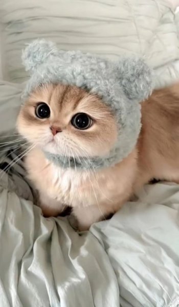  عکس پروفایل برای تیک تاک