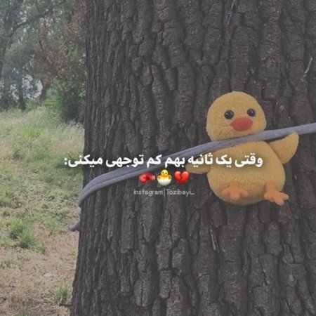  عکس پروفایل برای تیک تاک