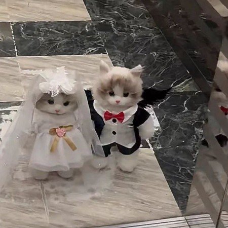  عکس پروفایل برای تیک تاک