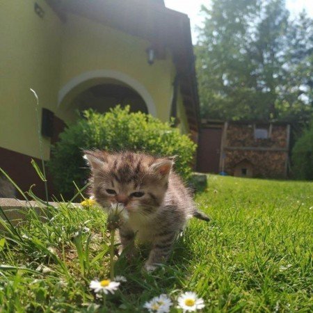  عکس پروفایل برای تیک تاک