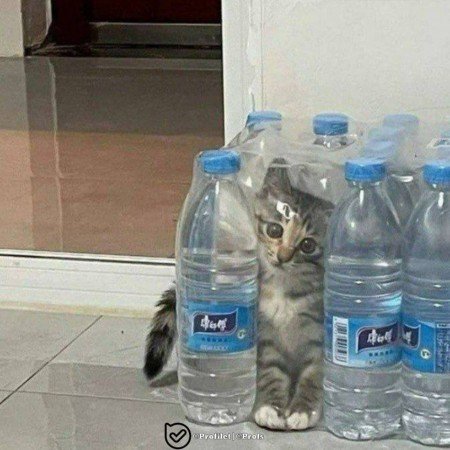  عکس پروفایل برای تیک تاک