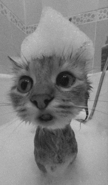  عکس پروفایل برای تیک تاک