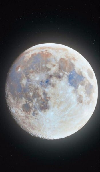  عکس پروفایل برای تیک تاک