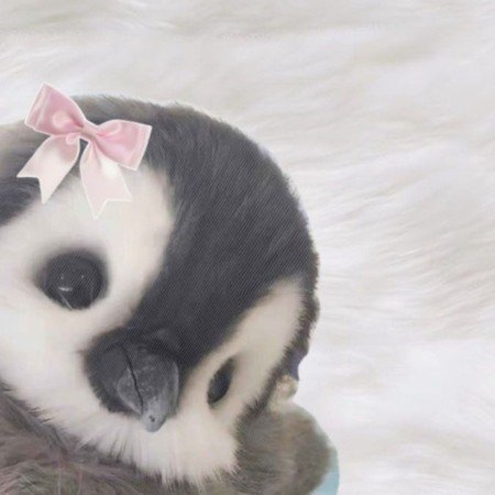  عکس پروفایل برای تیک تاک