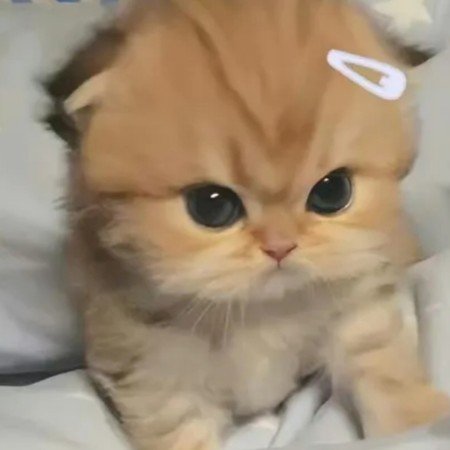  عکس پروفایل برای تیک تاک