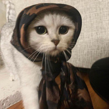  عکس پروفایل با تو