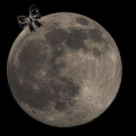  180 عکس عاشقانه پروفایل