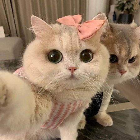  180 عکس عاشقانه پروفایل