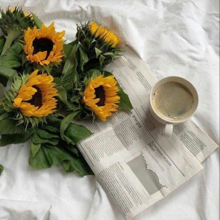  عکس های عاشقانه خارجی و خاک بر سری