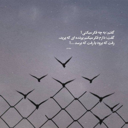  عکس های عاشقانه خارجی و خاک بر سری