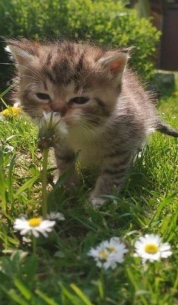  عکس های عاشقانه خارجی و خاک بر سری