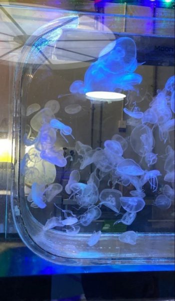  عکس های عاشقانه خارجی و خاک بر سری