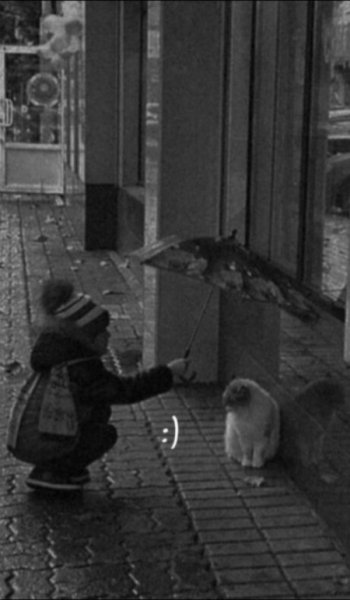  عکس های عاشقانه خارجی و خاک بر سری