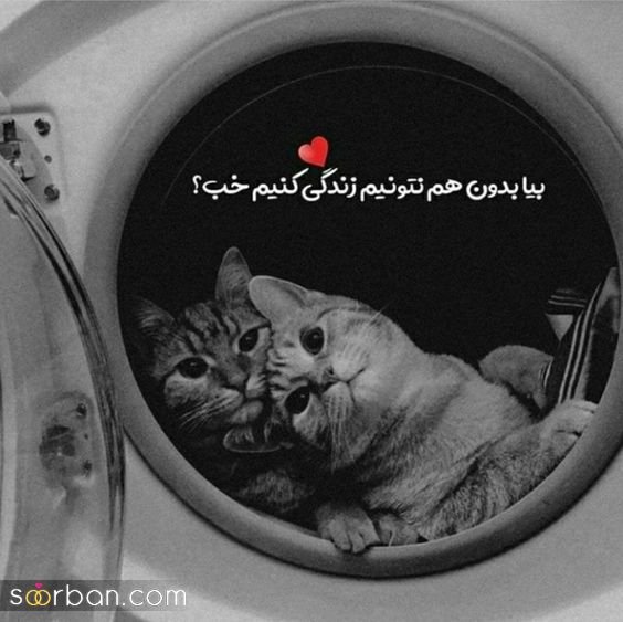  عکس های عاشقانه احساسی رمانتیک بدون متن