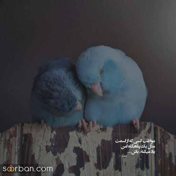  عکس های عاشقانه احساسی رمانتیک بدون متن