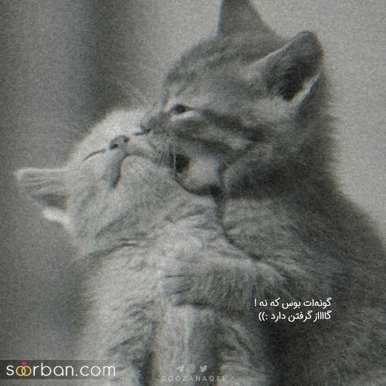  عکس های عاشقانه احساسی رمانتیک بدون متن