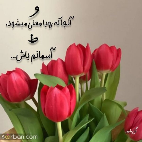  عکس عاشقانه بدون متن