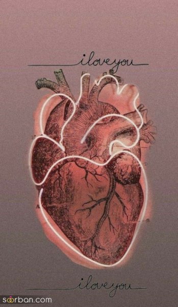  عکس عاشقانه بدون متن