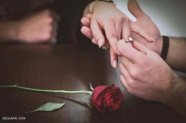  عکس عاشقانه لاکچری