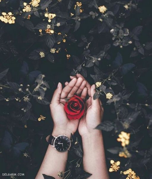  عکس عاشقانه لاکچری