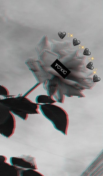  ست عکس عاشقانه لاکچری