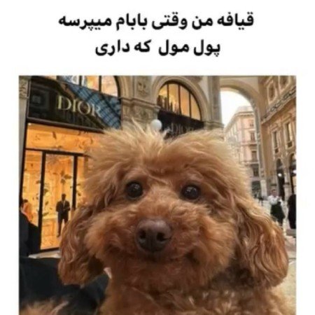  عکس جذب ثروت برای صفحه گوشی