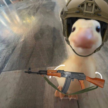  320 عکس دختر بدون چهره