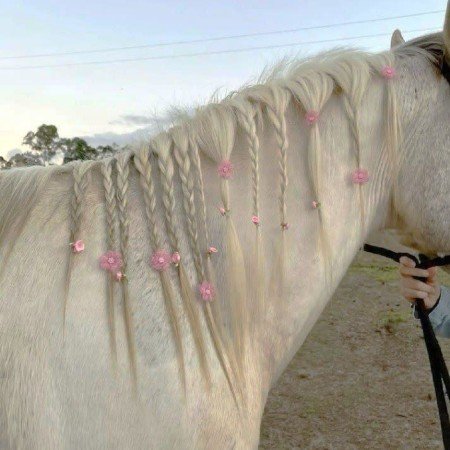  عکس دختر واقعی