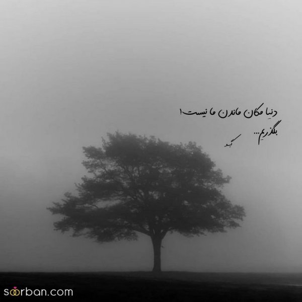  عکس پروفایل پسرانه