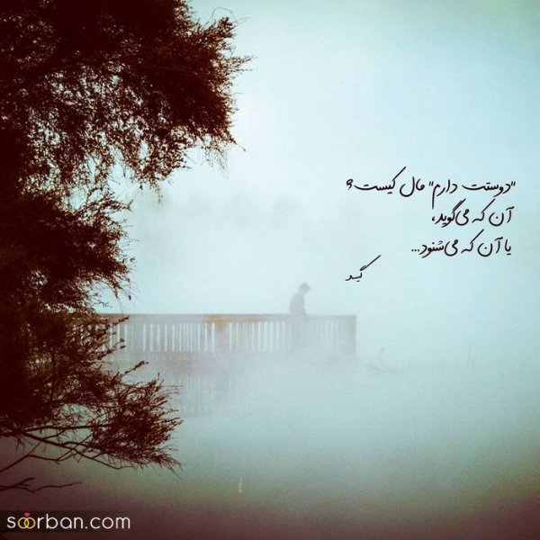  بهترین عکس پروفایل