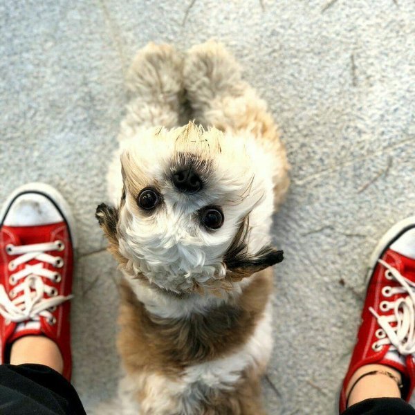  147 عکس پروفایل خاص