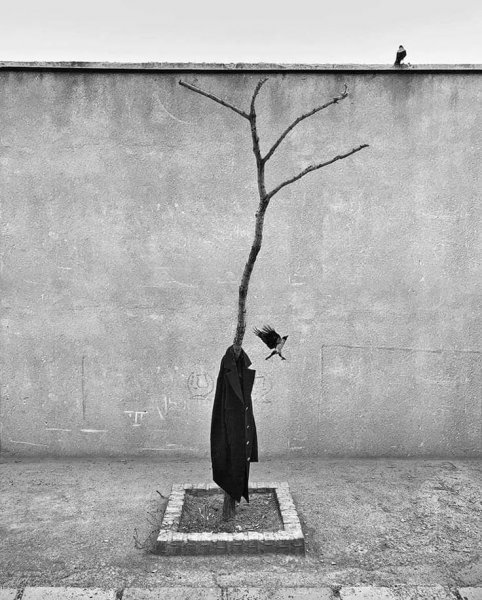  147 عکس پروفایل خاص