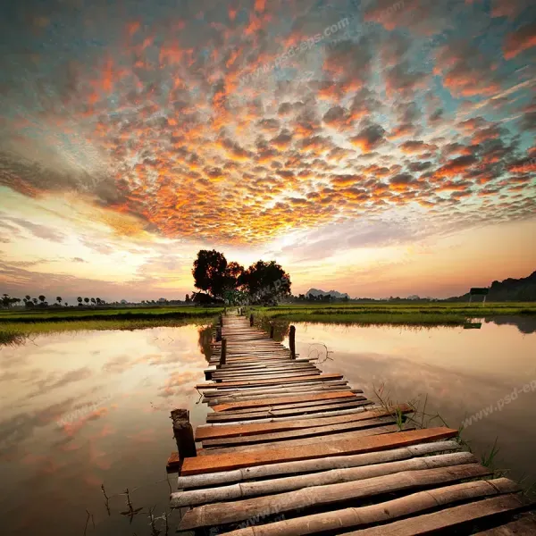  147 عکس پروفایل خاص