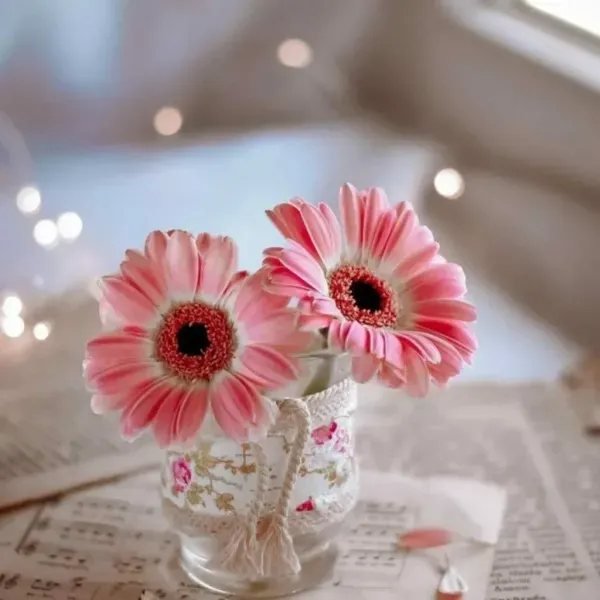  147 عکس پروفایل خاص