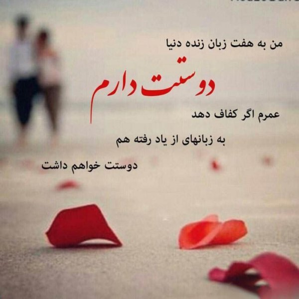  147 عکس پروفایل خاص