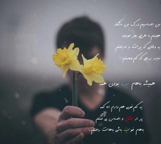  147 عکس پروفایل خاص