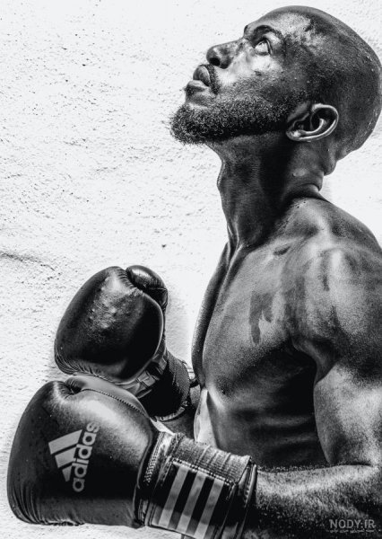  عکس پروفایل بوکس خفن