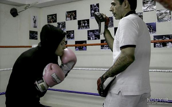  100 عکس بوکسور خفن