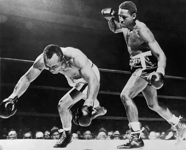  40 عکس بوکسور های معروف