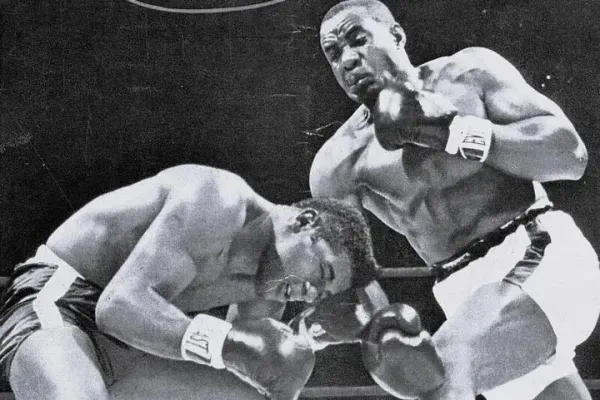  40 عکس بوکسور های معروف