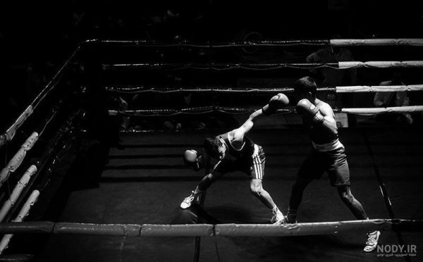  عکس رینگ بوکس برای پروفایل