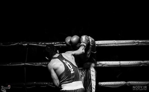  عکس رینگ بوکس برای پروفایل