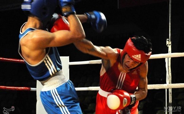  عکس رینگ بوکس برای پروفایل