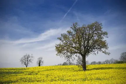  عکس پسر غمگین