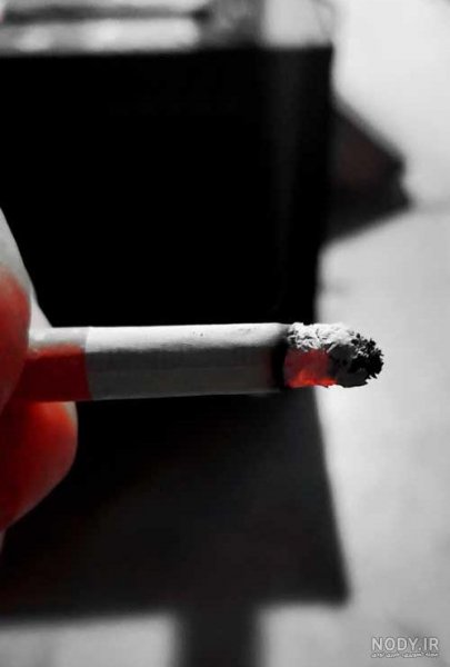  عکس سیگار کشیدن لاکچری