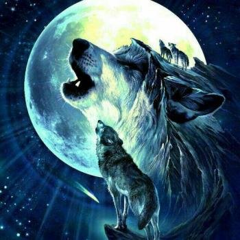  عکس پروفایل پسرانه شاخ