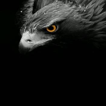  100 عکس پروفایل پسرانه خفن